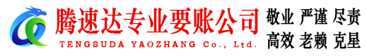 龙门追债公司